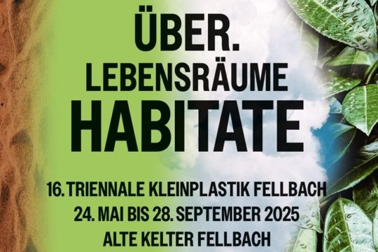 16. Triennale Kleinplastik Stadt Fellbach