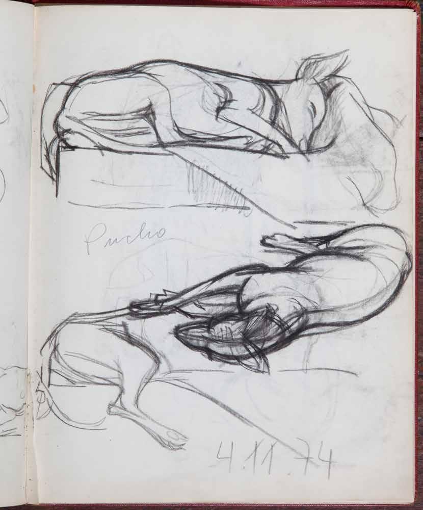 Foto © Archiv Marta Hofmann Foto © Archiv Marta Hofmann